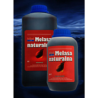 Melase BOLAND Naturālā 1L