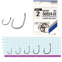 Āķi Owner CARP AYA