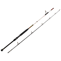 Spinings WFT INTERNATIONAL OCEAN BUSTER 20 lbs